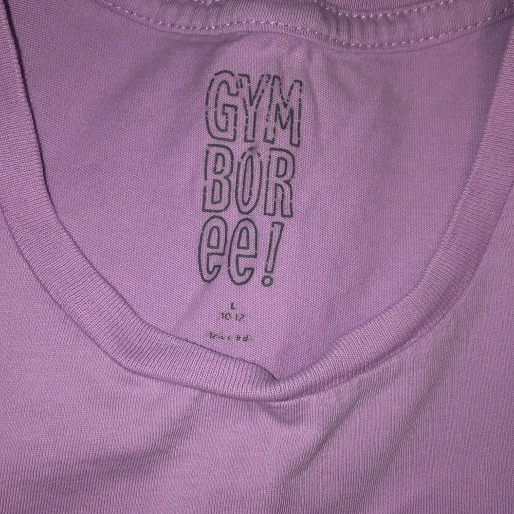 Set of 2 Gymboree t-shirts, size 10-12